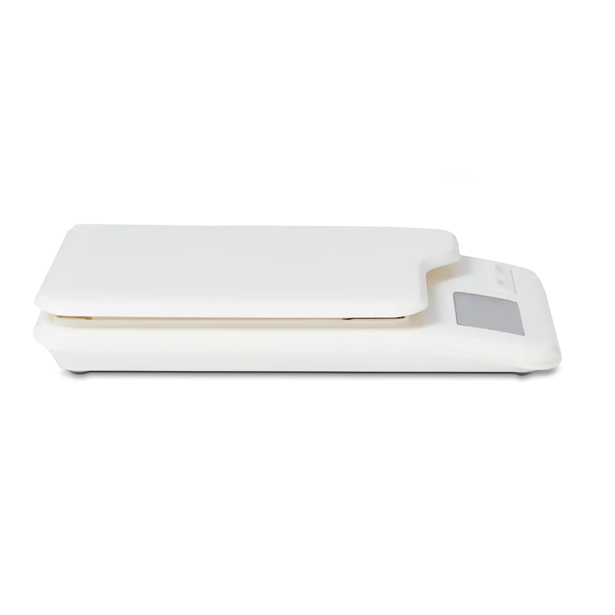 Basic | Kitchen Scale 5kg | Mens Health Downunder
